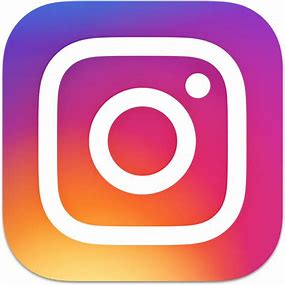 https://www.instagram.com/veronicahuertobizibitxi/